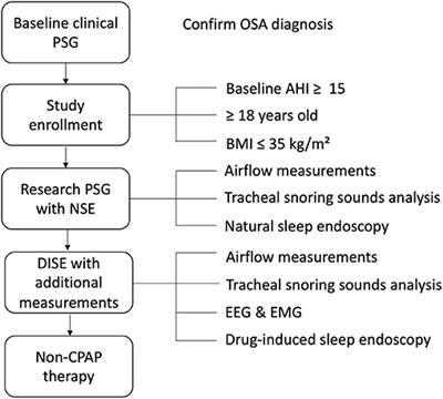 Comparison of Drug-Induced Sleep Endoscopy and Natural Sleep Endoscopy in the Assessment of Upper Airway Pathophysiology During Sleep: Protocol and Study Design
